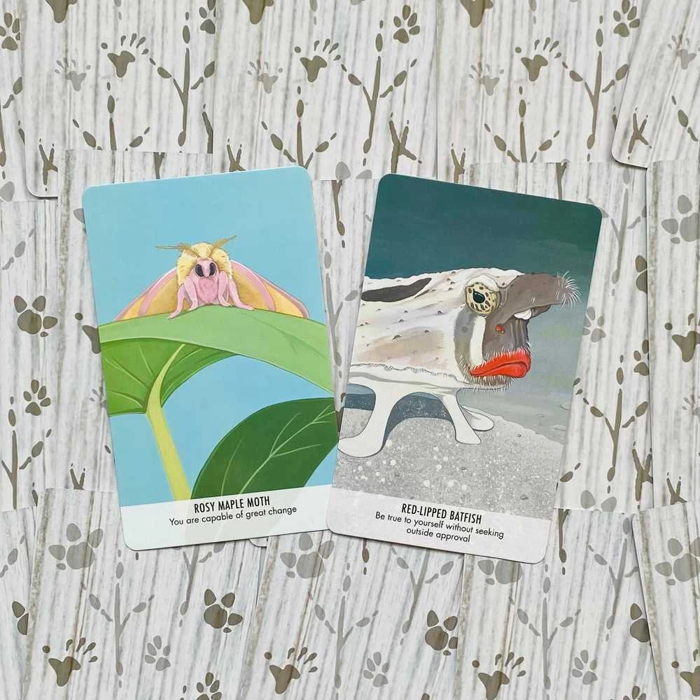 Cico Books Unusual Animal Messages Oracle kortos
