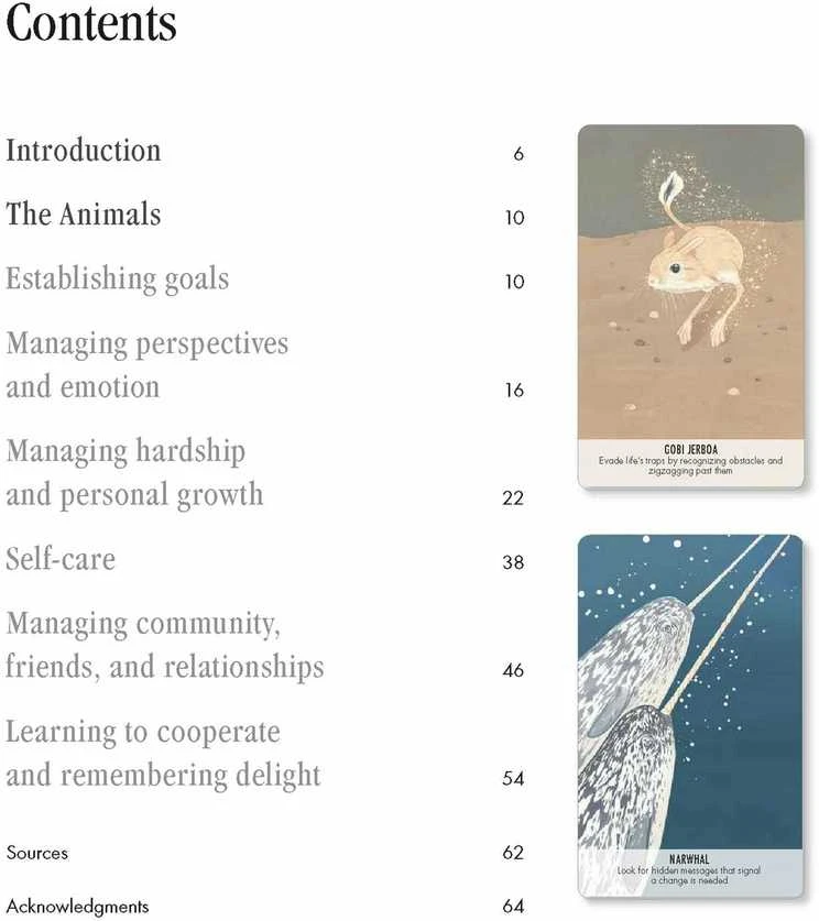Cico Books Unusual Animal Messages Oracle kortos