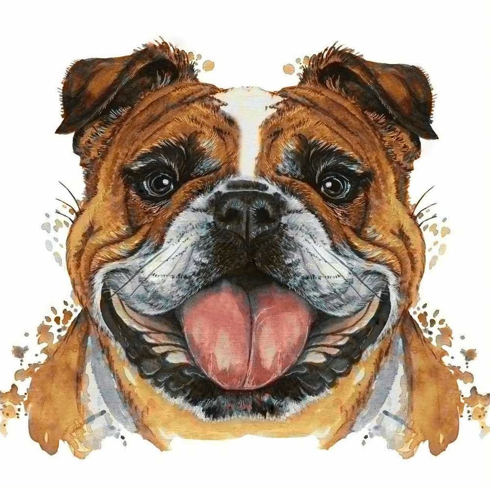 Crafting Spark Bulldog 20х20 Deimantinio Paveikslo komplektas Cs2718