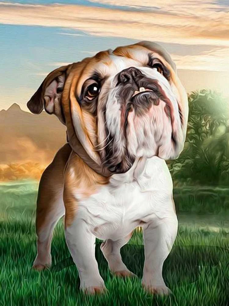 Crafting Spark Dreaming Dog Deimantinio Paveikslo komplektas CS2537