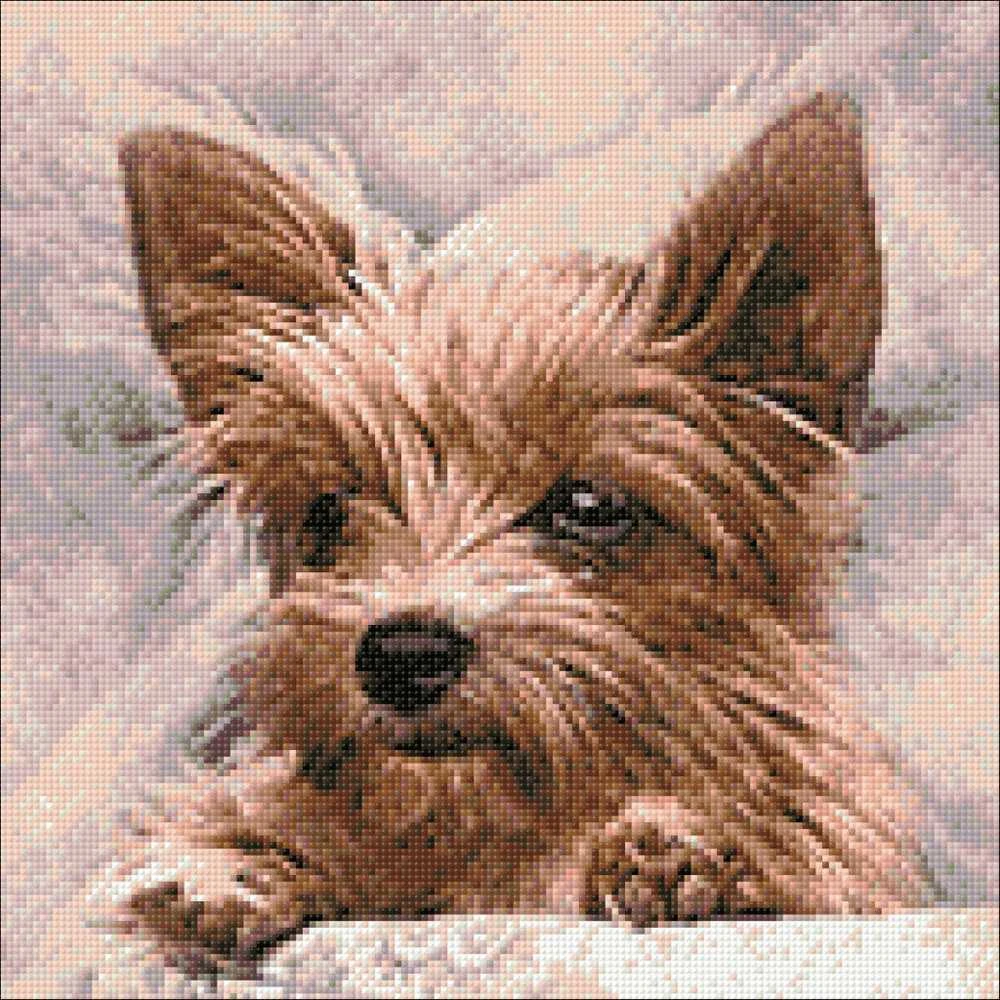 Crafting Spark Fluffy Friend 40х40 Deimantinio Paveikslo komplektas Cs2307