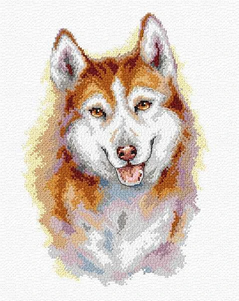 Crafting Spark Husky siuvinėjimo kryželiu rinkinys, Aida 16 ct, DMC siūlai, 17x25 cm