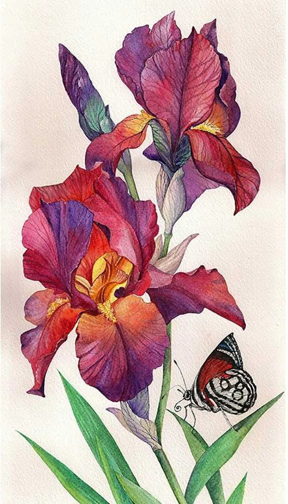 Crafting Spark Irises Deimantinio Paveikslo komplektas CS2577
