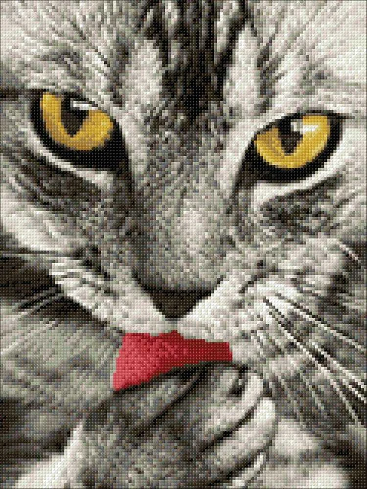 Crafting Spark Kitten Deimantinio Paveikslo komplektas CS2533