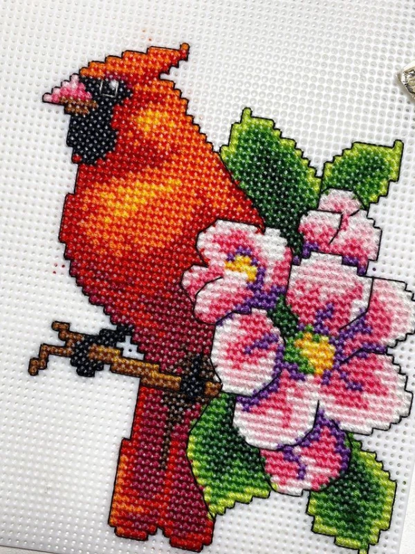 Crafting Spark Siuvinėjimo kryželiu rinkinys „Paukščiai“, plastikinė drobė 14ct, 26 spalvų