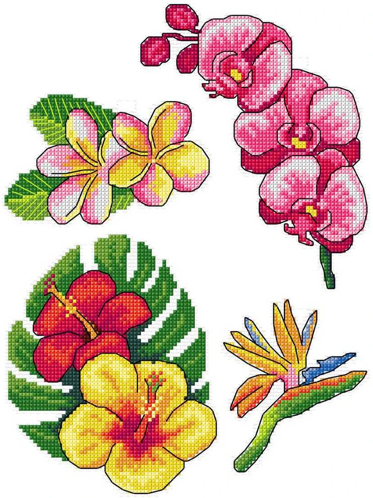 Crafting Spark Siuvinėjimo kryželiu rinkinys „Egzotinės gėlės“, 14ct, plastikinė drobė