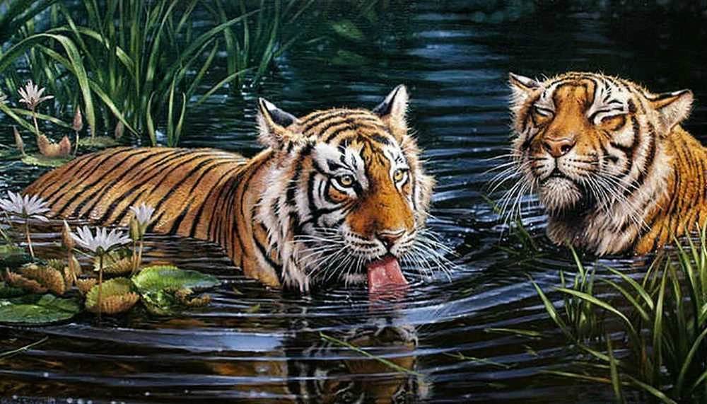 Crafting Spark Tigers Deimantinio Paveikslo komplektas CS2569