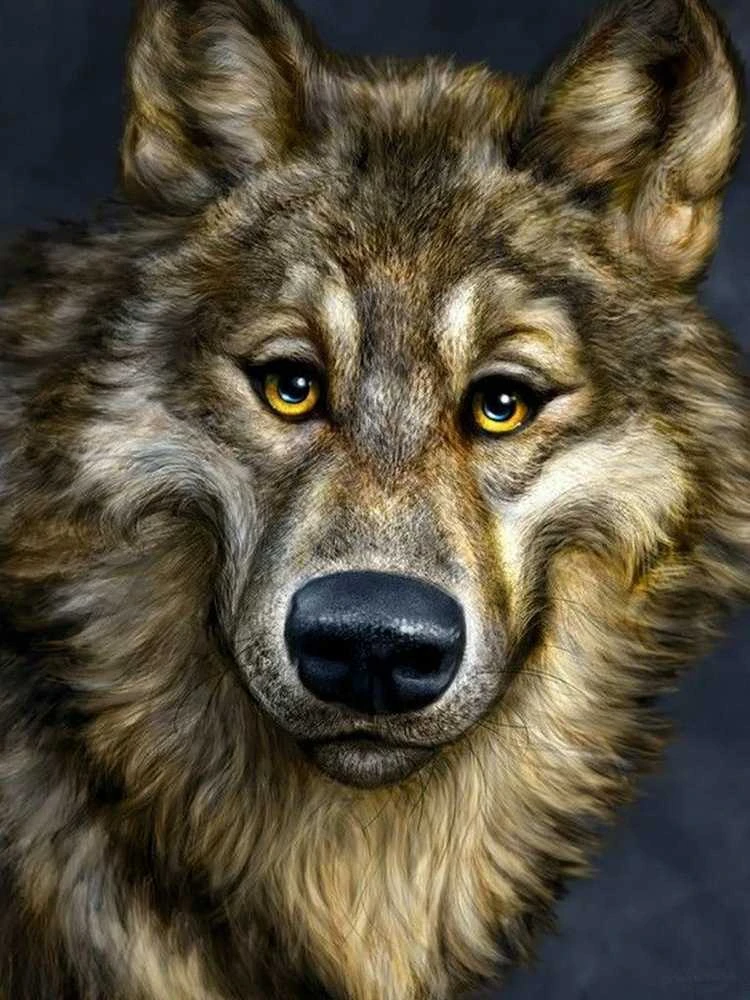 Crafting Spark Wolf Deimantinio Paveikslo komplektas CS2574