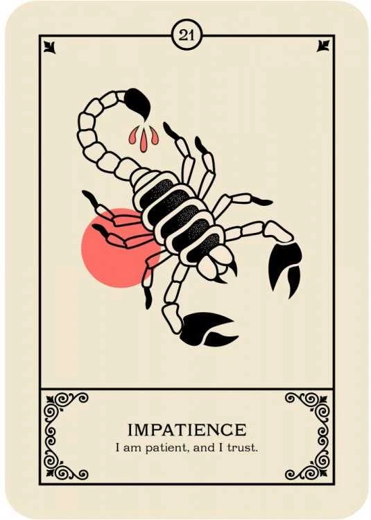 Kolekcionuojamos Kortelės - Oracle Card Deck - Vaiduoklių Klyksmai by Rockpool, 42 Kortelės, 14 x 10 x 3.5 cm