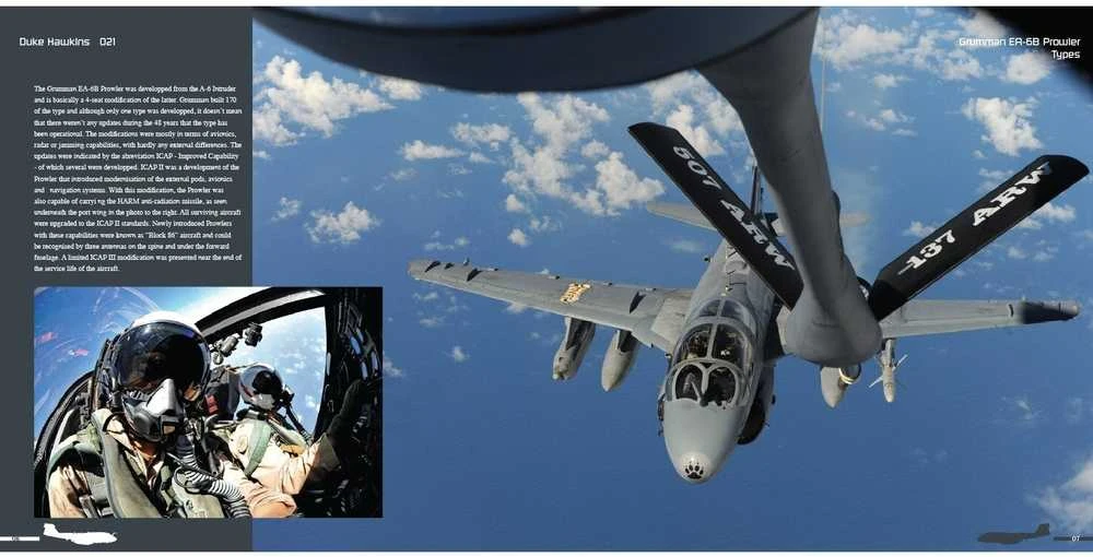 Duke Hawkins EA-6B Prowler knyga: JAV laivyno ir jūrų pėstininkų lėktuvas