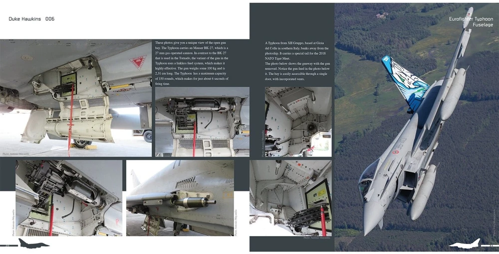 Duke Hawkins Eurofighter Typhoon naikintuvas: iliustruotas gidas aviacijos gerbėjams