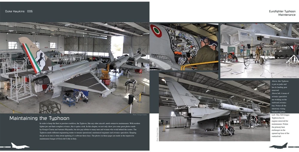 Duke Hawkins Eurofighter Typhoon naikintuvas: iliustruotas gidas aviacijos gerbėjams