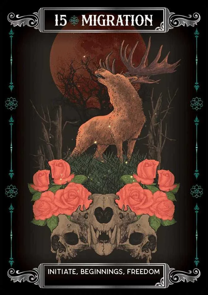Earth & Bone Oracle kortos Rockpool