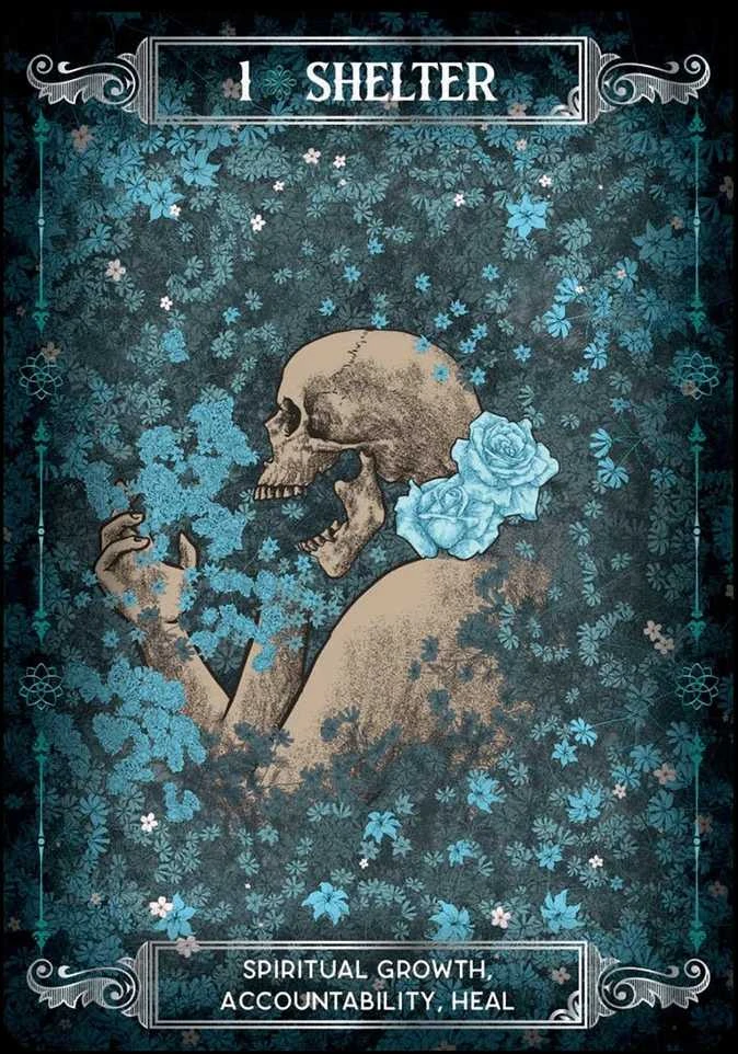 Earth & Bone Oracle kortos Rockpool