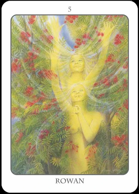 Earth Dancers Earth Dancer The Tree Angel Oracle Kortų Ir Knygos Rinkinys