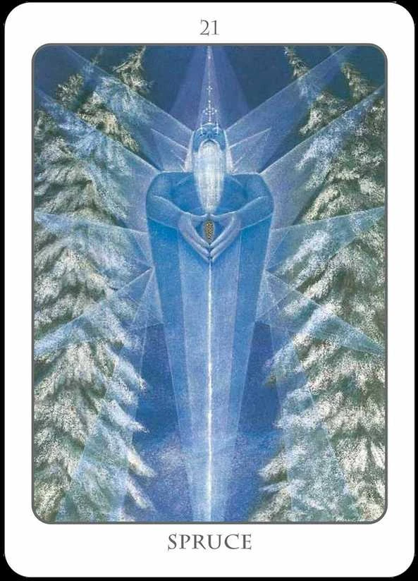Earth Dancers Earth Dancer The Tree Angel Oracle Kortų Ir Knygos Rinkinys