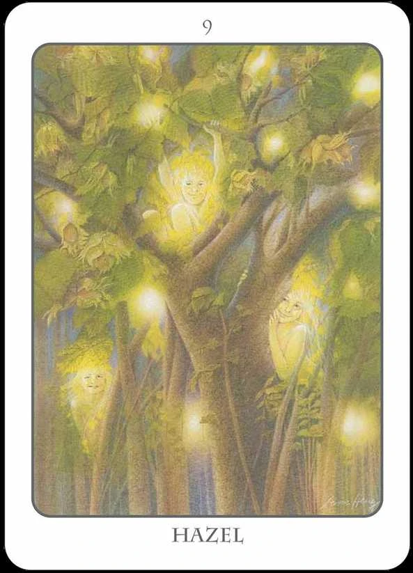 Earth Dancers Earth Dancer The Tree Angel Oracle Kortų Ir Knygos Rinkinys