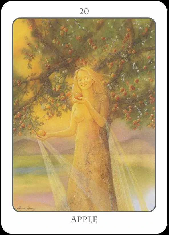 Earth Dancers Earth Dancer The Tree Angel Oracle Kortų Ir Knygos Rinkinys