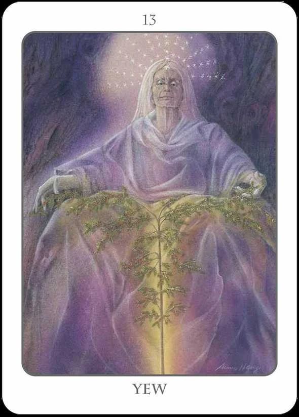 Earth Dancers Earth Dancer The Tree Angel Oracle Kortų Ir Knygos Rinkinys