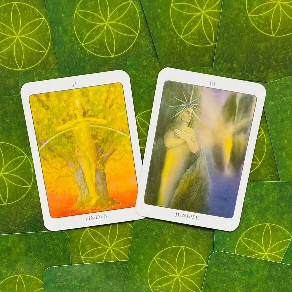 Earth Dancers Earth Dancer The Tree Angel Oracle Kortų Ir Knygos Rinkinys