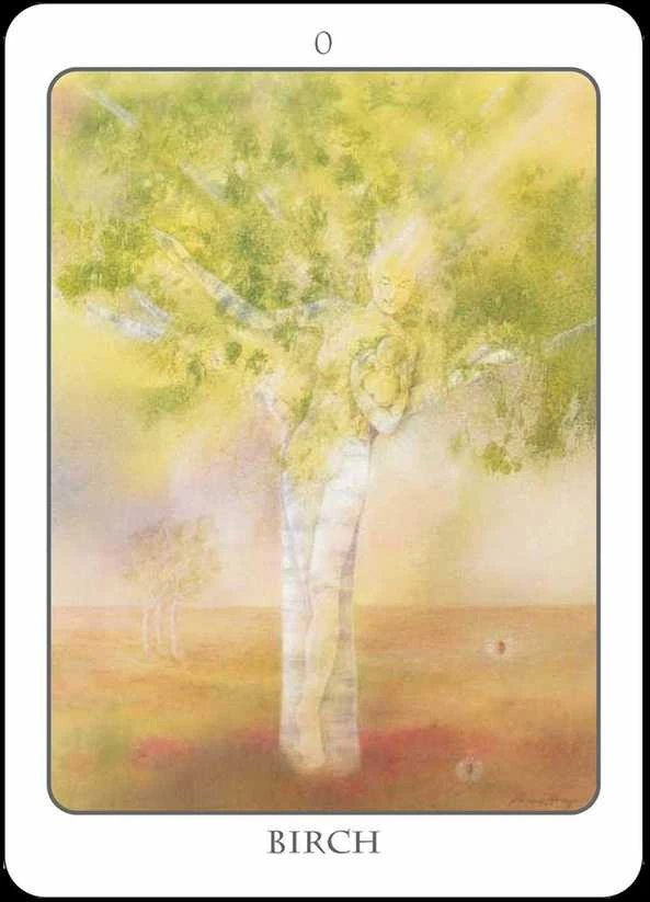 Earth Dancers Earth Dancer The Tree Angel Oracle Kortų Ir Knygos Rinkinys