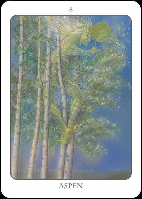 Earth Dancers Earth Dancer The Tree Angel Oracle Kortų Ir Knygos Rinkinys