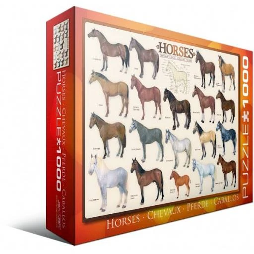 Eurographics 1000 detalių dėlionė „Žirgai“ – žirgų veislių pasaulis, 50x70 cm