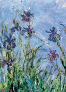 Eurographics Claude Monet „Irisai“ dėlionė 1000 detalių – muziejinė kokybė