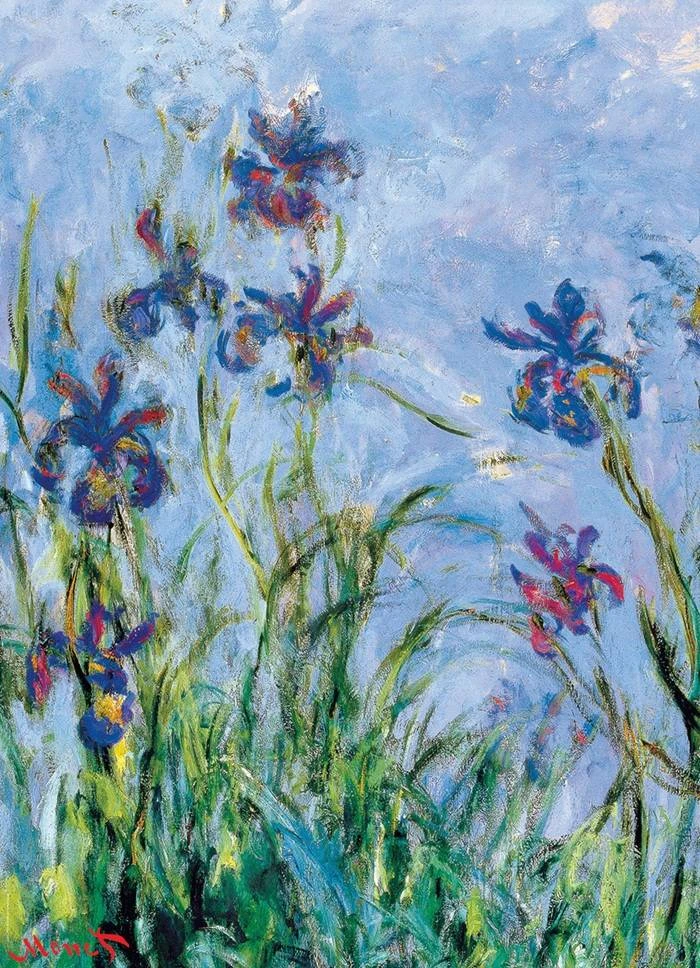 Eurographics Claude Monet „Irisai“ dėlionė 1000 detalių – muziejinė kokybė