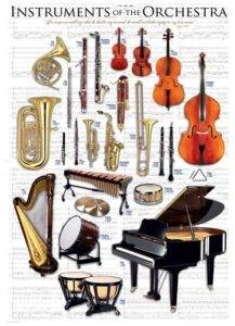 Eurographics Edukacinė dėlionė „Orkestro instrumentai“ – 1000 detalių, 67×49 cm