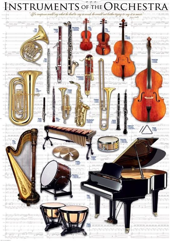 Eurographics Edukacinė dėlionė „Orkestro instrumentai“ – 1000 detalių, 67×49 cm