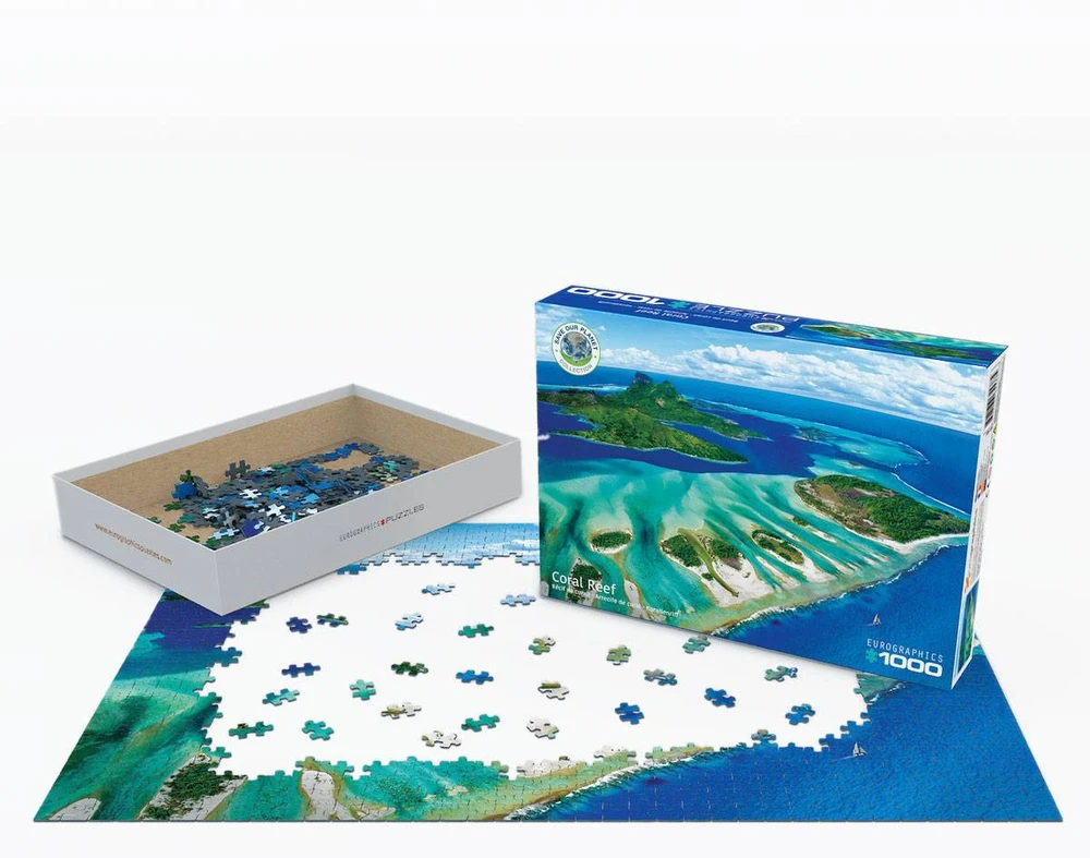 Eurographics Ekologiška 1000 detalių dėlionė „Saugokime planetą: Vandenynas“ 50x70 cm