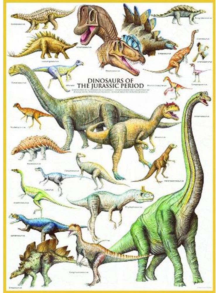 Eurographics Dėlionė 1000 vnt. - Juros periodo dinozaurai