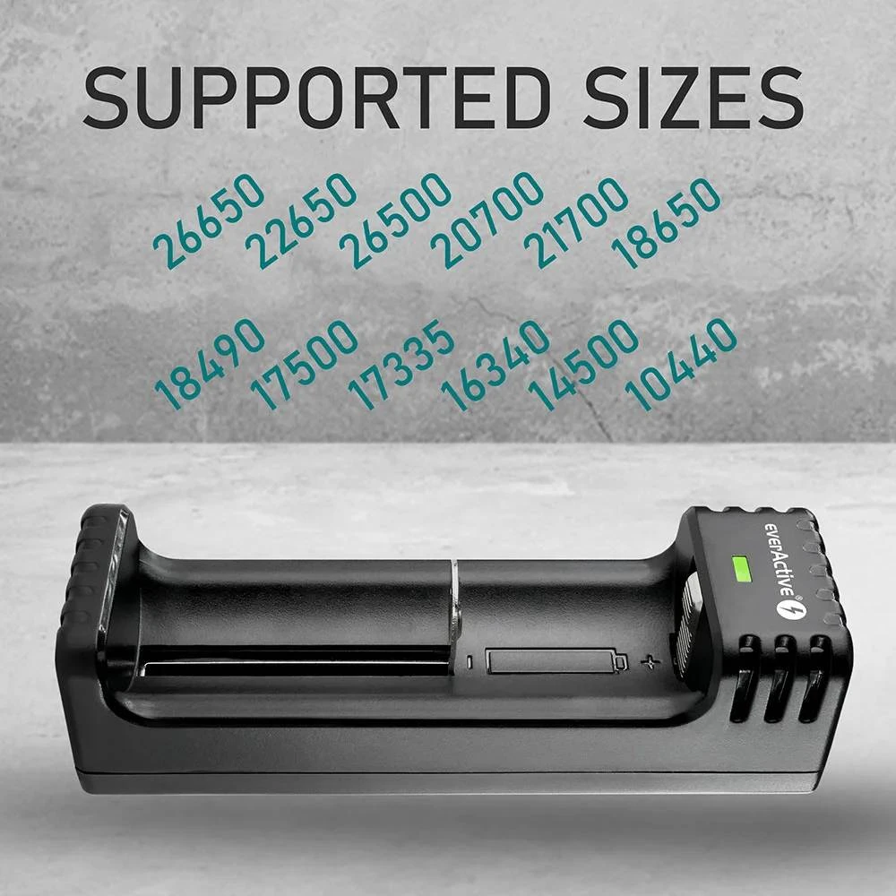 Įkroviklis - everActive LC-100C Smart Lithium USB-C 1000 mA