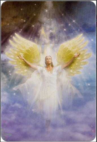 KNYGA Findhorn Press Angels Of Light kortos