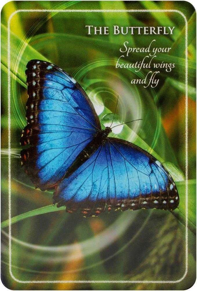 Findhorn Press Animal Whispers Empowerment Kortos