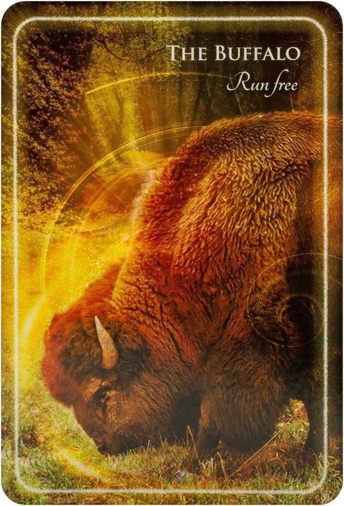 Findhorn Press Animal Whispers Empowerment Kortos