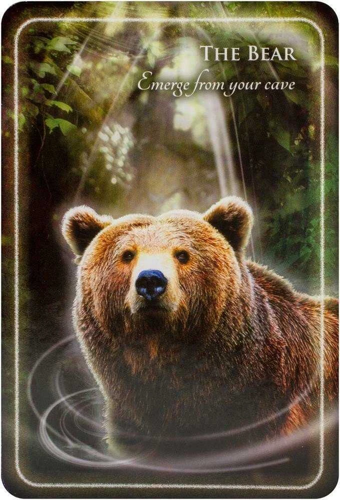 Findhorn Press Animal Whispers Empowerment Kortos