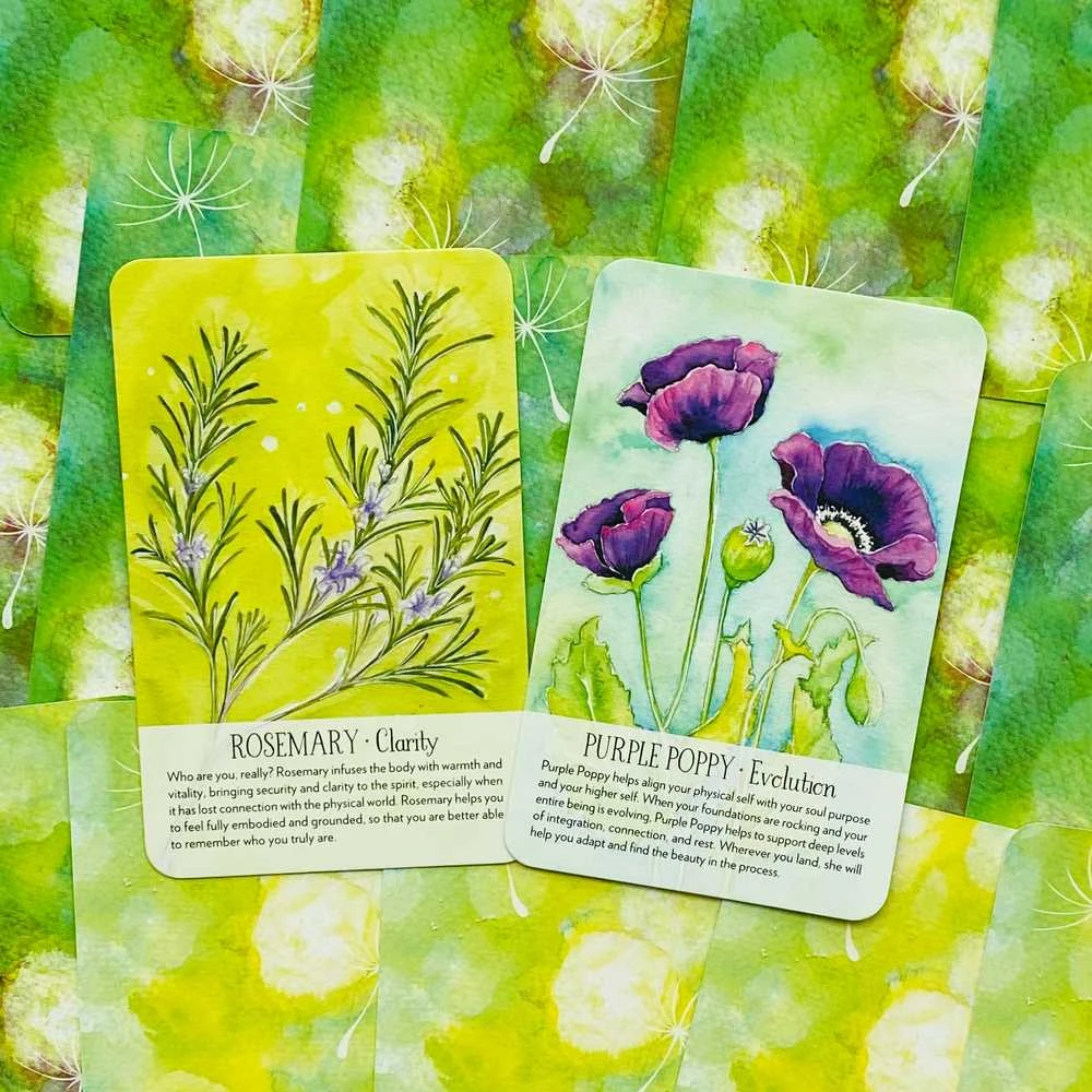 Findhorn Press Soulflower Plant Spirit Oracle Kortos