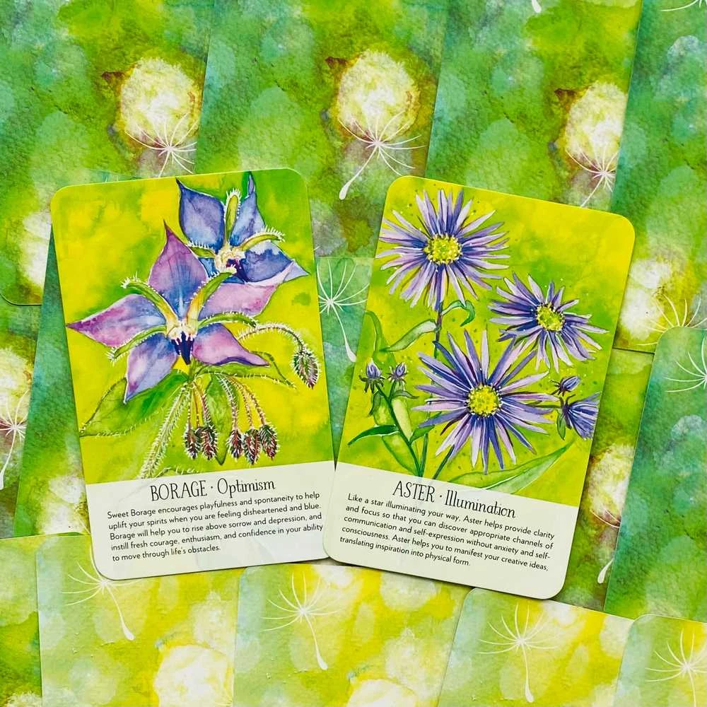 Findhorn Press Soulflower Plant Spirit Oracle Kortos