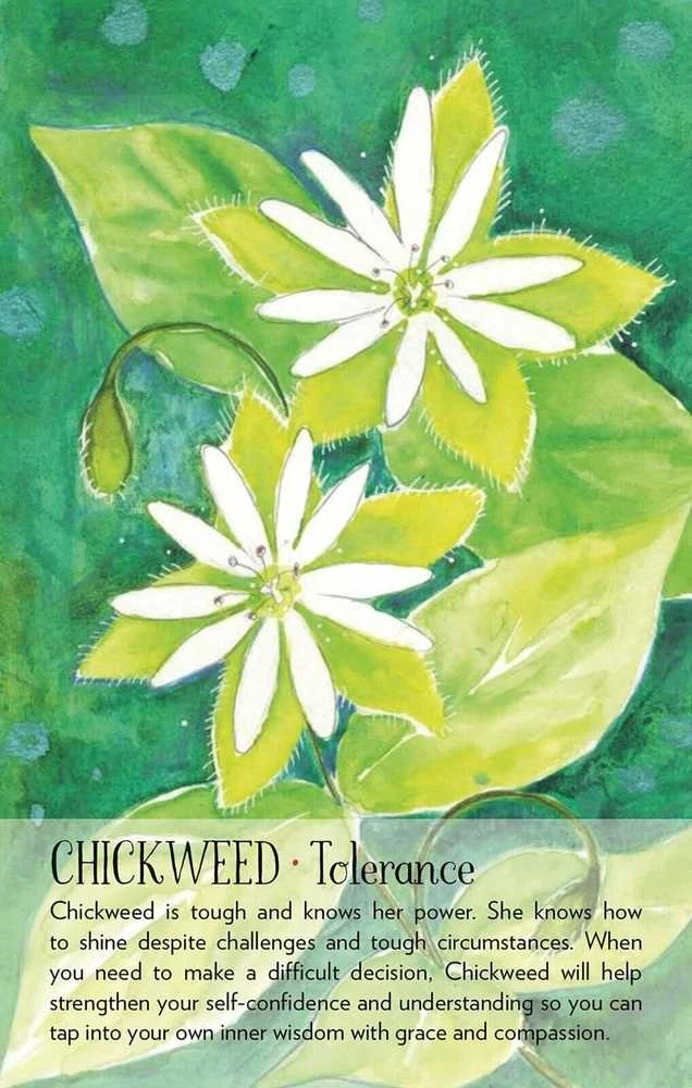 Findhorn Press Soulflower Plant Spirit Oracle Kortos