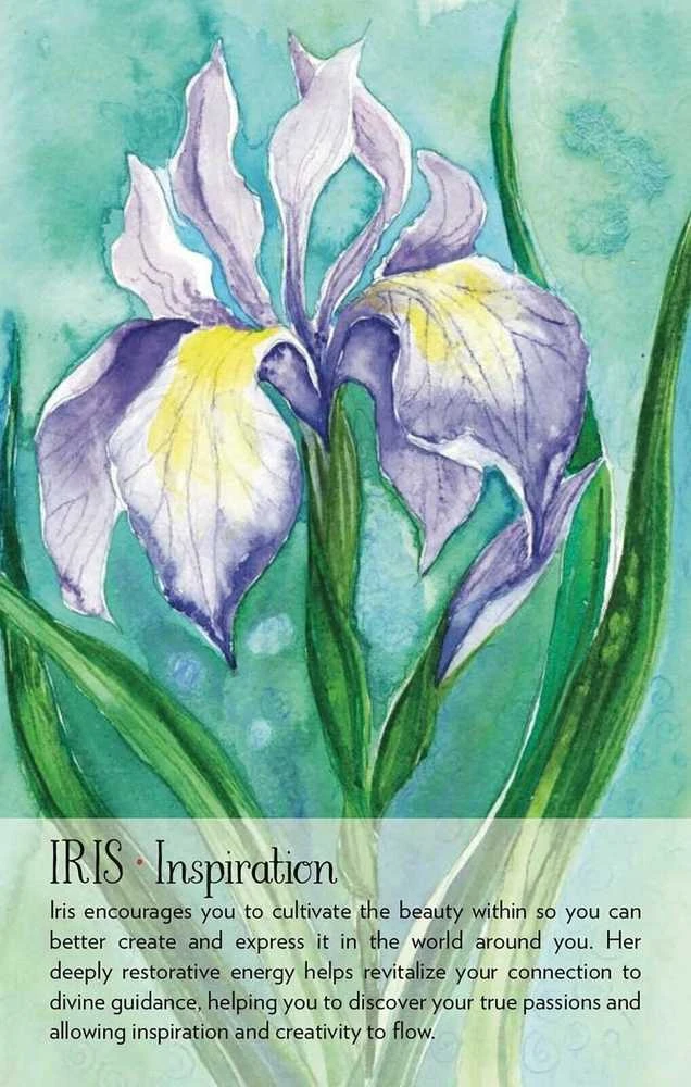 Findhorn Press Soulflower Plant Spirit Oracle Kortos
