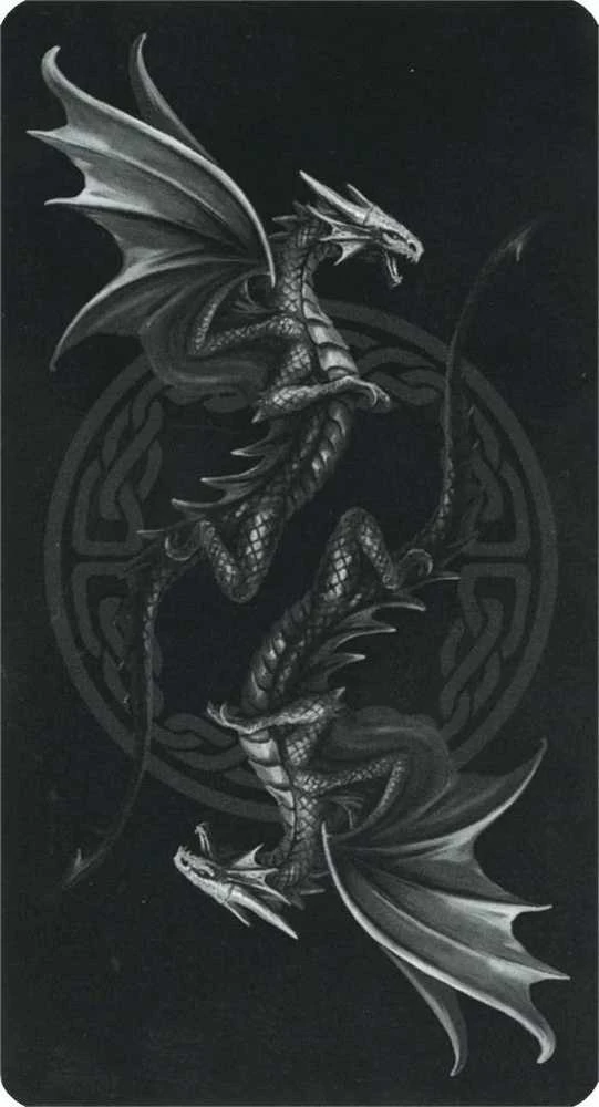 Bicycle Fournier Anne Stokes Drakonų Taro Kortos