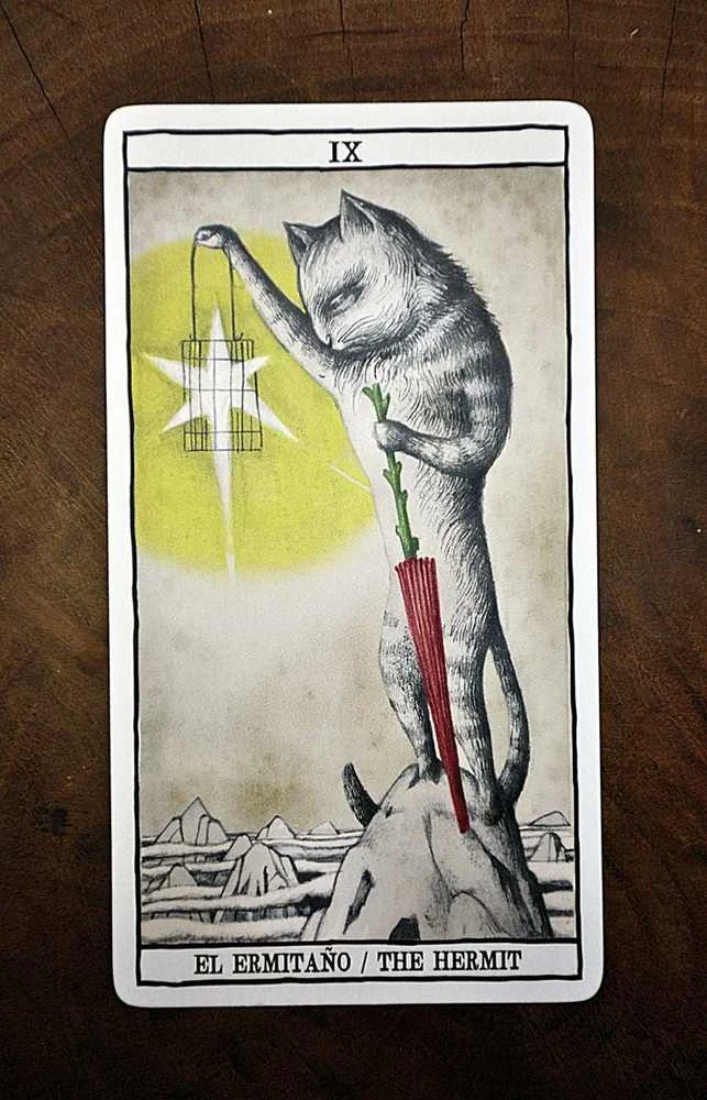 Fournier Tarot Cats Kortos