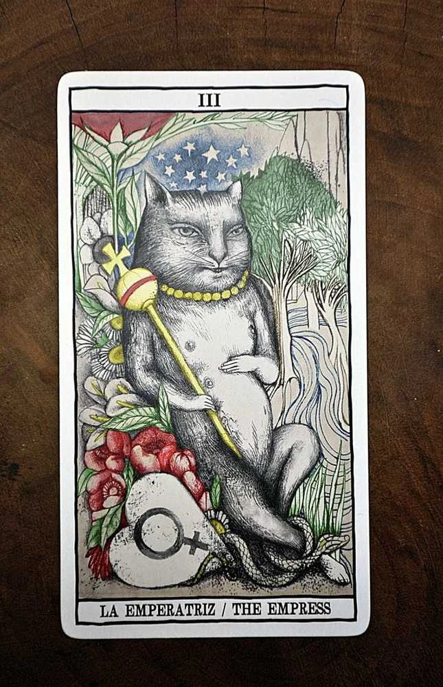 Fournier Tarot Cats Kortos