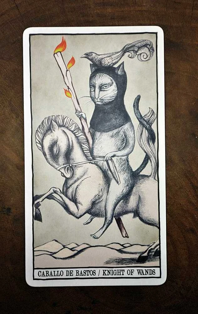 Fournier Tarot Cats Kortos