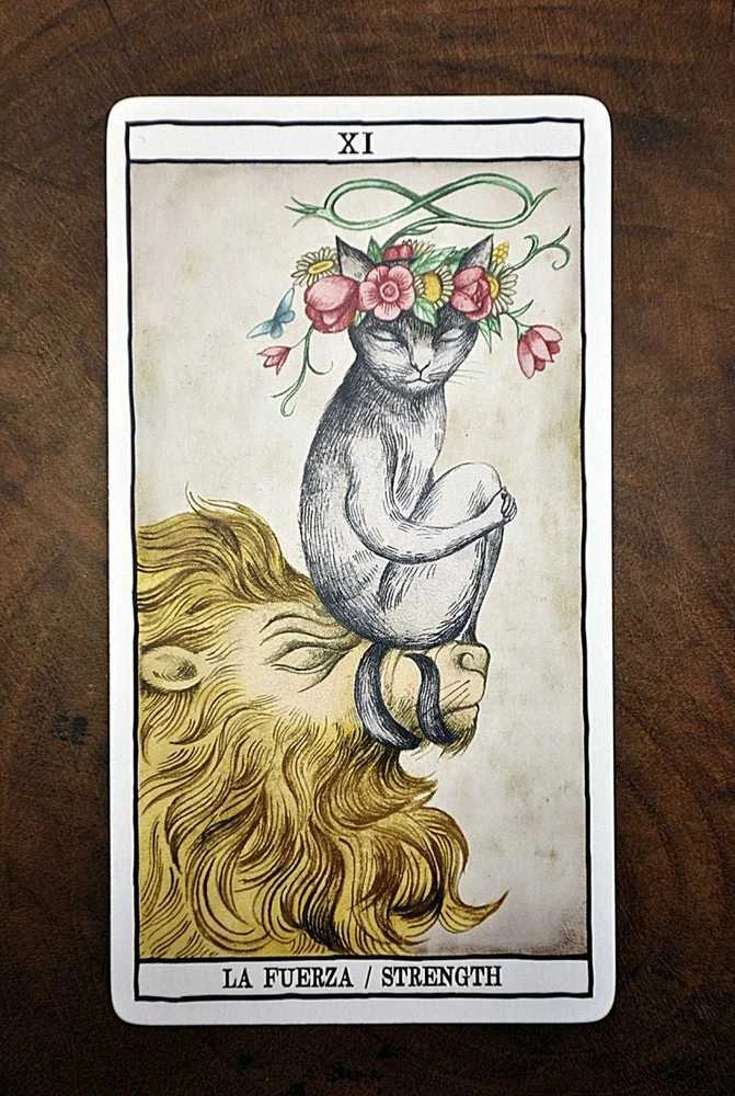 Fournier Tarot Cats Kortos