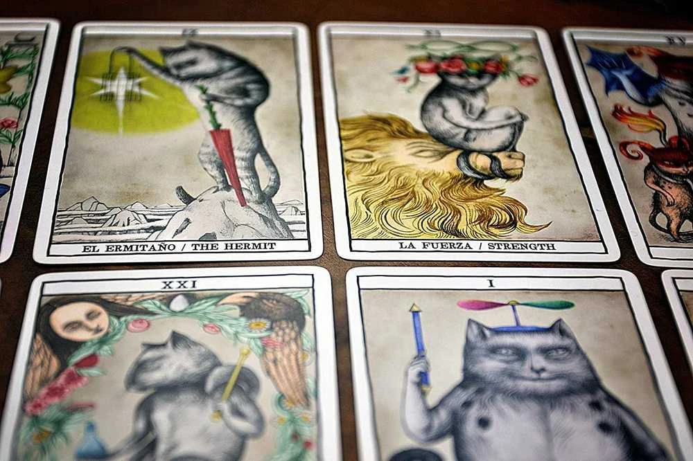 Fournier Tarot Cats Kortos