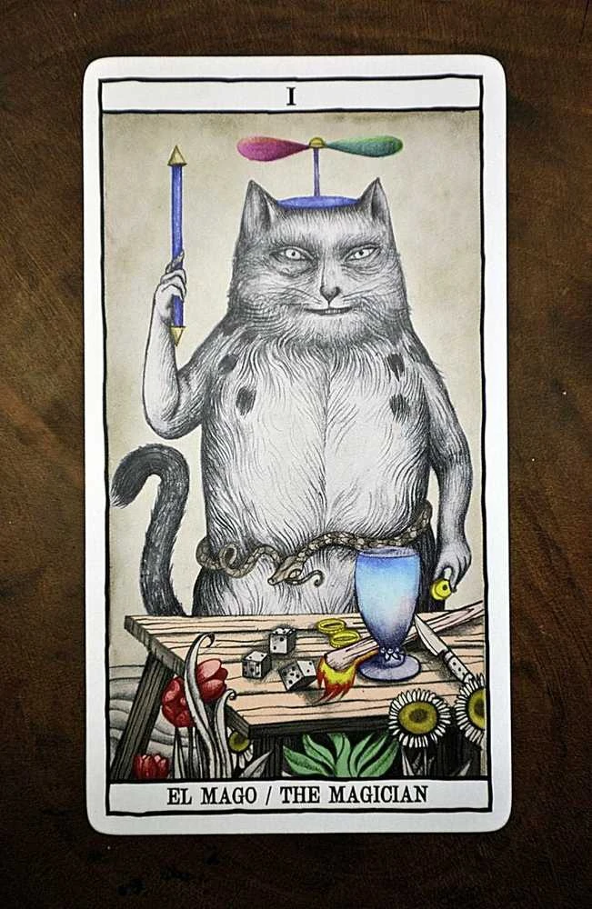 Fournier Tarot Cats Kortos