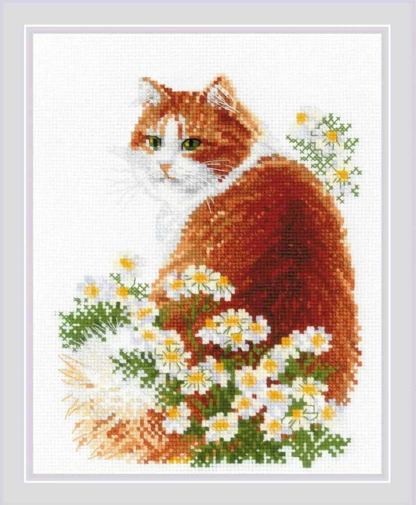 Riolis Kryželiu siuvinėjimo rinkinys Ginger Meow 24x30 SR2110